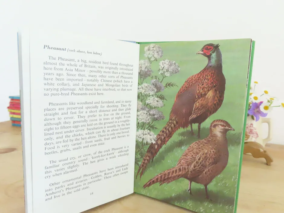 Cottontails Baby Vintage*VINTAGE Ladybird book of Heath and Woodland Birds (1971)